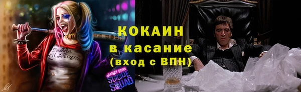трава Бородино