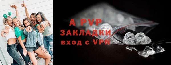 трава Бородино