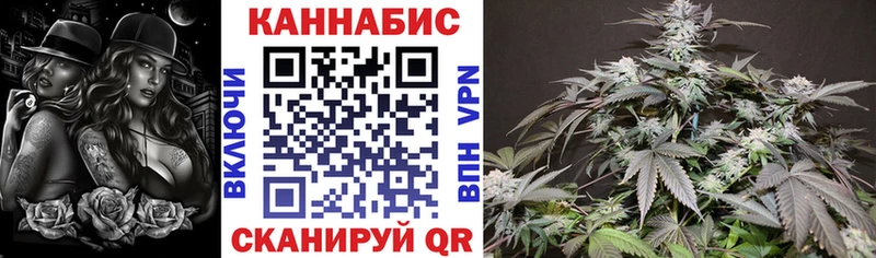 купить наркотики цена  Верхнеуральск  Конопля Amnesia 